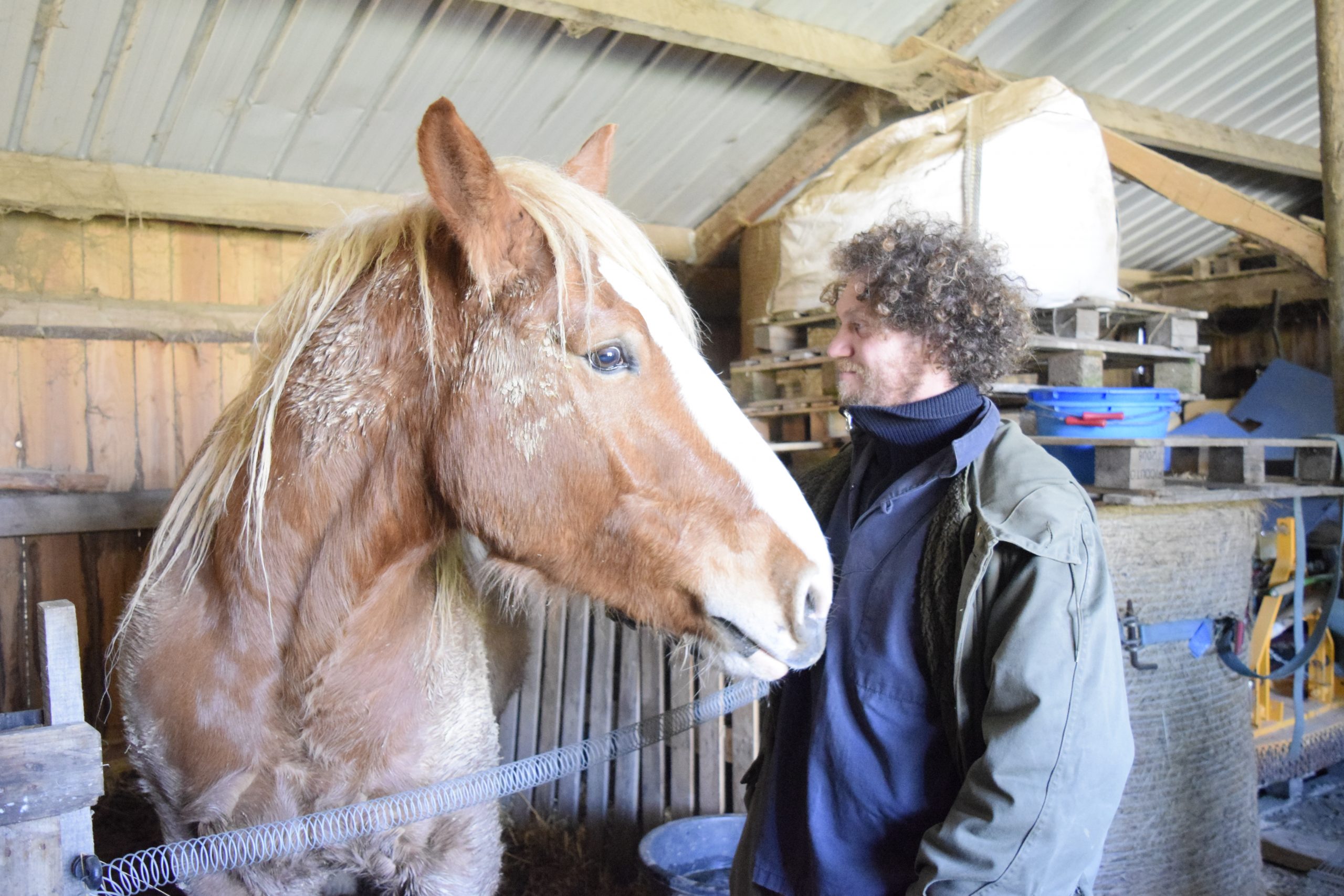 Benoit Courault / ブノワ クロー | 野村ユニソン（株）ワインセレクション